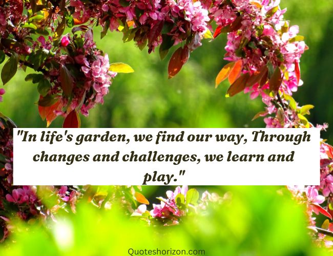 2 lines love quotes in english. A garden path symbolizing love's journey.
