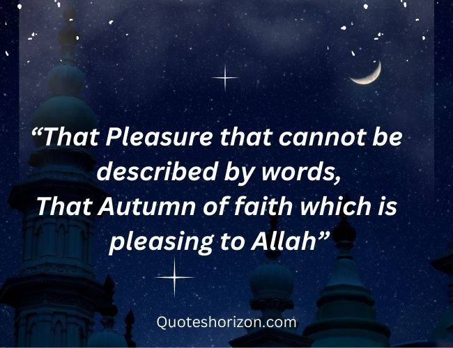 Best Lines of Islamic poetry