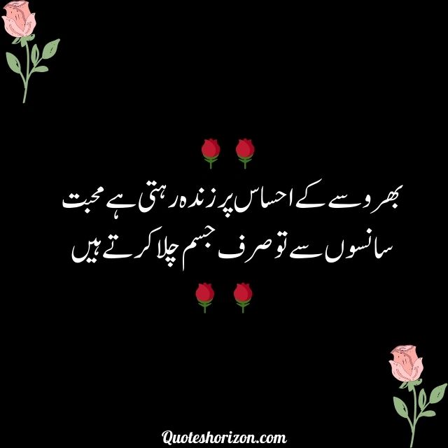 top love shayri in urdu | urdu poetry.