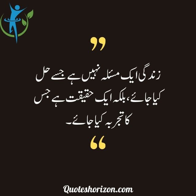 "A profound quote in Urdu about life - a reality to be experienced, not just solved."