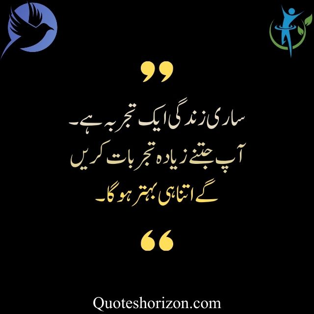 "A meaningful life quote in Urdu about embracing experiences for personal growth."