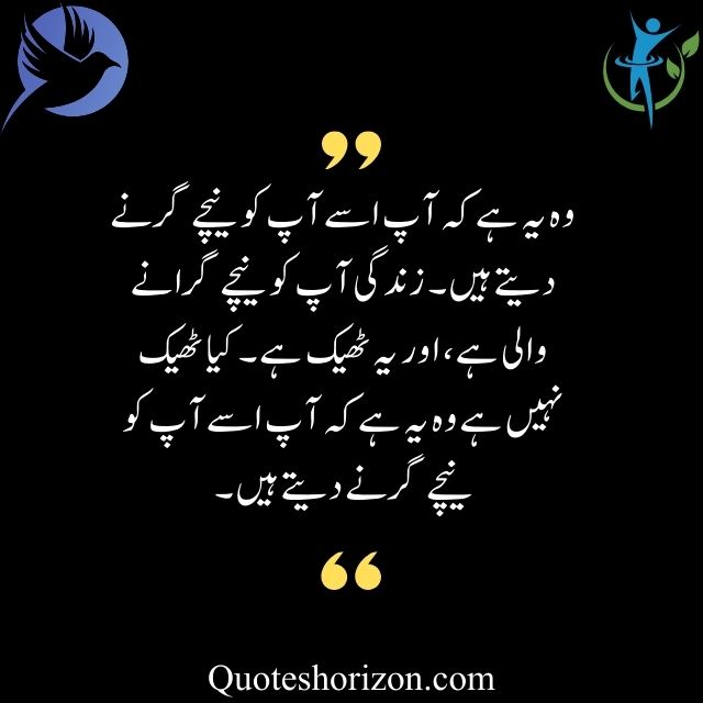 Urdu quotes about life