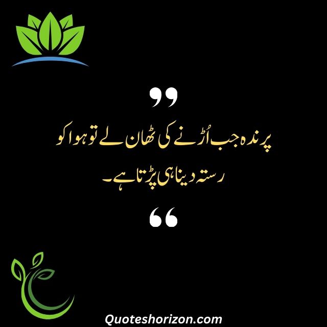 "Urdu quote on providing the path for dreams to take flight."