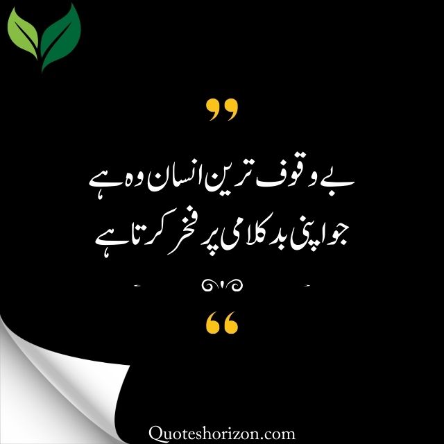 "A profound Urdu quote: The most foolish person boasts of their own malicious words."