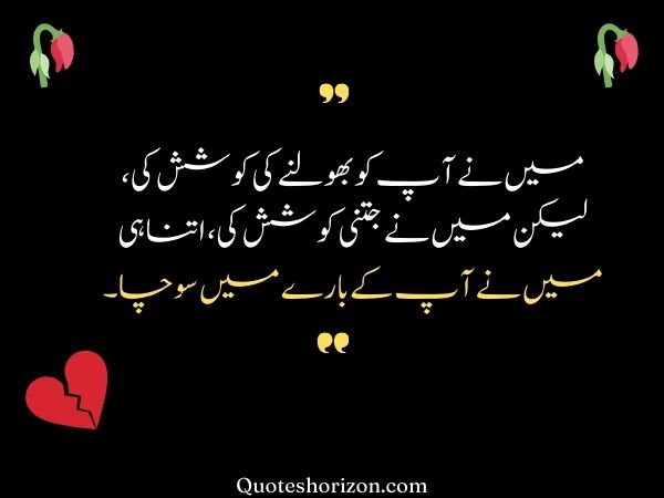 sad love quotes in Urdu
