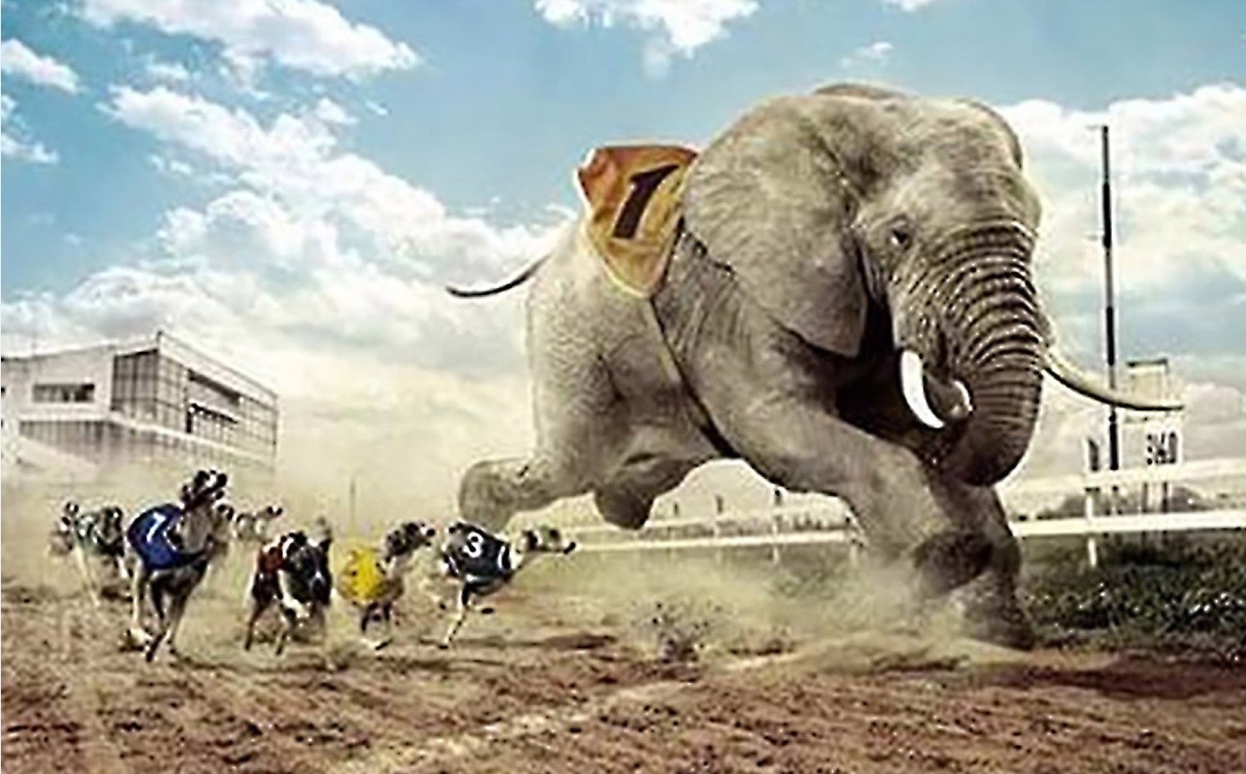 Why the ‘Go Big or Go Home’ Mentality Might Not Be the Best Strategy?