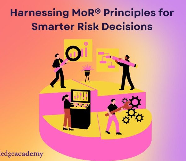 Harnessing MoR® Principles for Smarter Risk Decisions