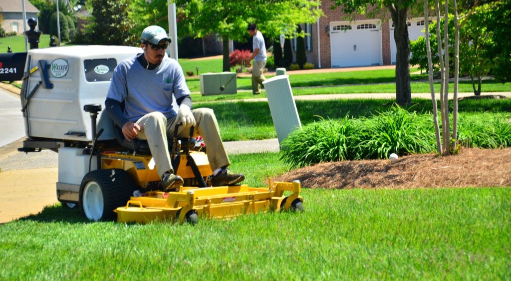 Understanding Lawn Care Cost: What to Expect