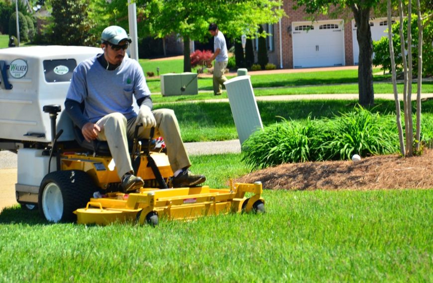 Understanding Lawn Care Cost: What to Expect